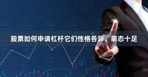 股票如何申请杠杆它们性格各异、萌态十足