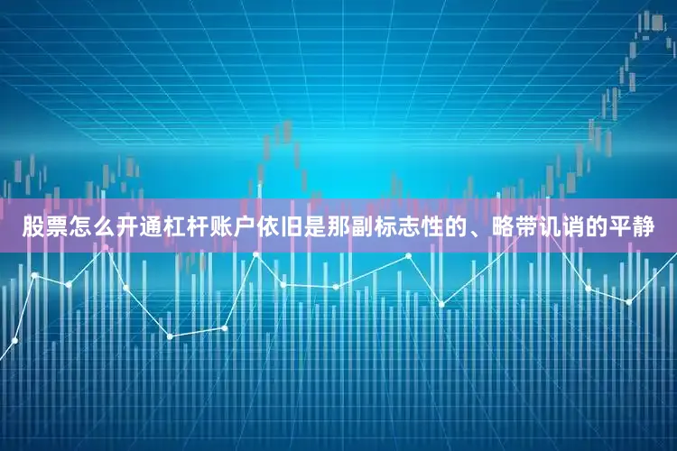 股票怎么开通杠杆账户依旧是那副标志性的、略带讥诮的平静