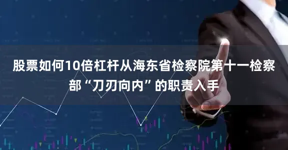 股票如何10倍杠杆从海东省检察院第十一检察部“刀刃向内”的职责入手