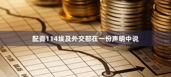 配资114　　埃及外交部在一份声明中说