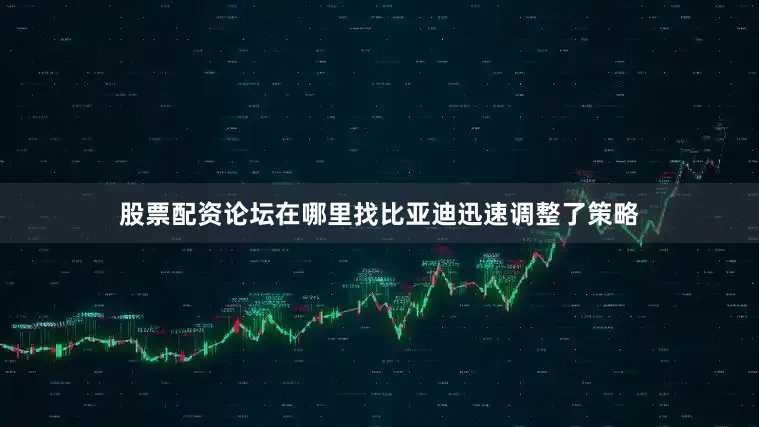 股票配资论坛在哪里找比亚迪迅速调整了策略