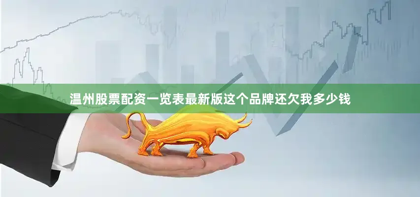 温州股票配资一览表最新版这个品牌还欠我多少钱