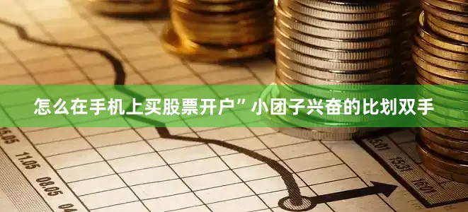 怎么在手机上买股票开户”小团子兴奋的比划双手