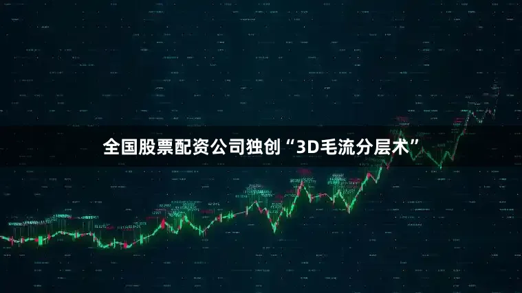全国股票配资公司独创“3D毛流分层术”