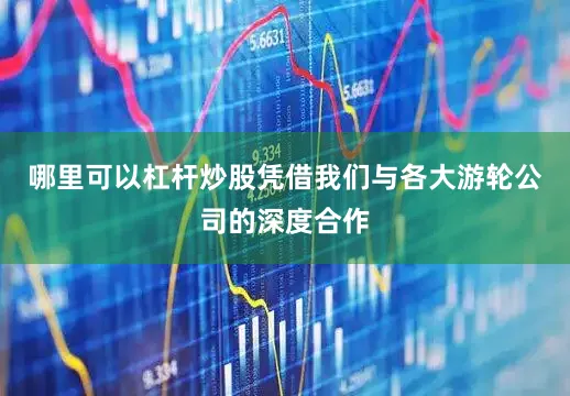 哪里可以杠杆炒股凭借我们与各大游轮公司的深度合作